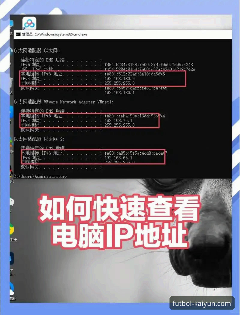 如何快速找到kaiyun官网地址？正版入口与最新版本下载全解析